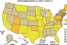 Flu Map B Wk 11.jpg