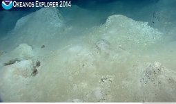 Sea Floor 4.18.14.jpg