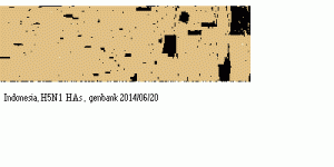 indo14b.GIF