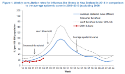NZ.png