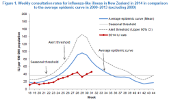 NZ.png