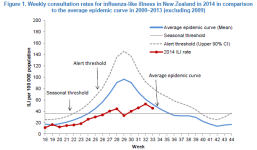 NZ.png