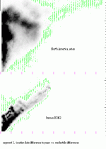 seg1.GIF