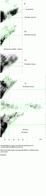 bitsb4m.gif