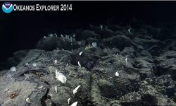 Okeanos A 9.27.jpg