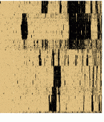 bitsc1r.GIF
