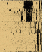 bitsc2r.gif