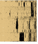 bitsc3r.gif