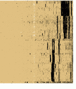 bitsc5r.gif