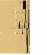 bitsc7r.gif
