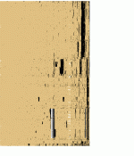 bitsc81r.gif