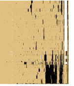 bitsc61r.gif