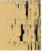 bitsc62r.gif