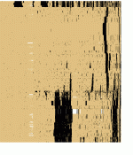 bitsc63r.gif