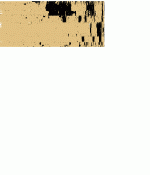bitsc64r.gif