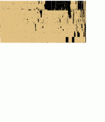 bitsc65r.gif