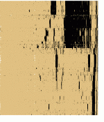 bitsc66r.gif