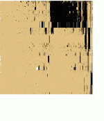 bitsc67r.gif