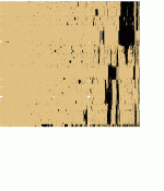 bitsc69r.gif