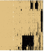 bitsc44r.gif