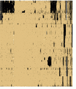 bitsc45r.gif