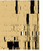 bitsc46r.gif
