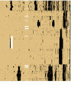 bitsc49r.gif