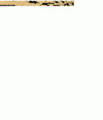 bitsc4gr.gif