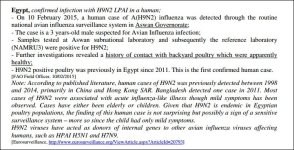 egypth9n2.JPG
