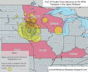 H5 USA Poultry Fllock Infections 20150510.jpg