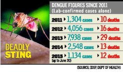 Dengue.jpg Dengue.jpg