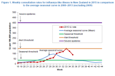 NZ.png
