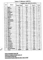 H1N1Rajasthan.png