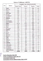 H1N1Rajasthan.png