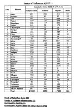 H1N1Rajasthan.png