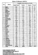H1N1Rajasthan.png
