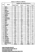 H1N1Rajasthan.png