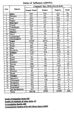 H1N1Rajasthan.png
