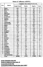 H1N1Rajasthan.png