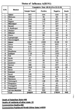 H1N1Rajasthan.png