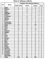 H1N1Rajasthan.png