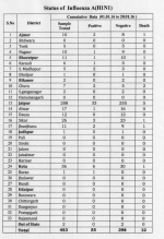 H1N1Rajasthan.png