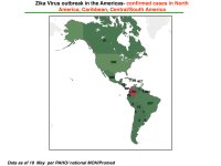 photo20432.jpeg