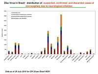photo20948.webp