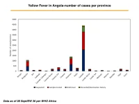 photo21389.webp