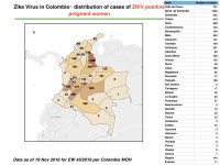 photo21986.jpeg