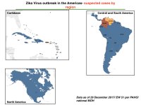 photo22429.jpeg