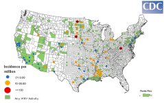 2008 West Nile Virus Human Cases, aug 26 2008.jpg