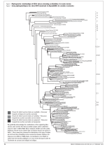 WER Fig 1 20090225.png