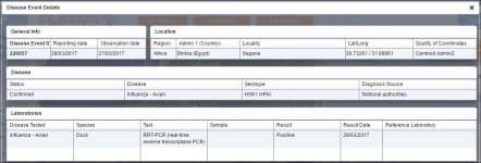 egypth5n1march20171.JPG